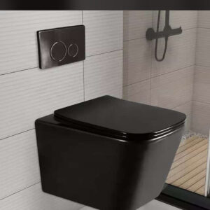 BT365-TCT2 Black conduit wc