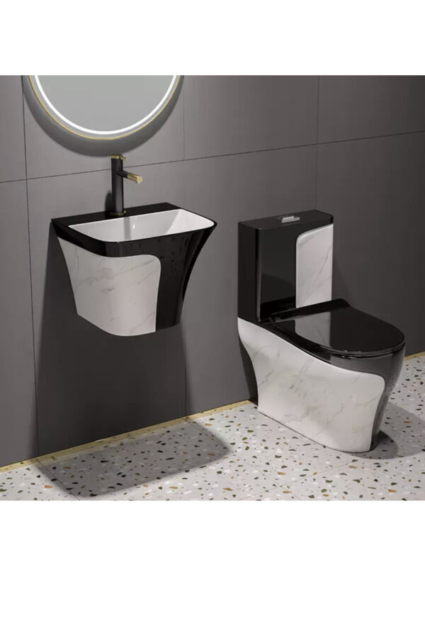 Black & white Luxury wc with Wall-hung basin