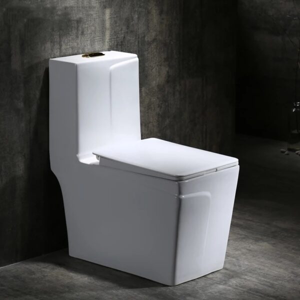 BT-CC21-1 Executive L Italian standard w/c white