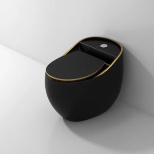 Black super executive one-piece modern toilet water closet