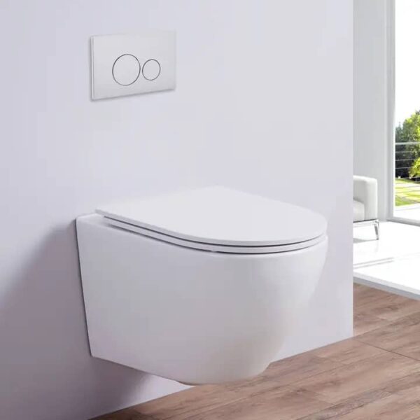 BT365-TCT5 Round pan Concealed toilet executive conduit wc - Image 2