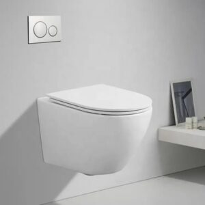 BT365-TCT5 Round pan Concealed toilet executive conduit wc