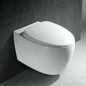 BT365-TCT6 Super executive conduit water closet