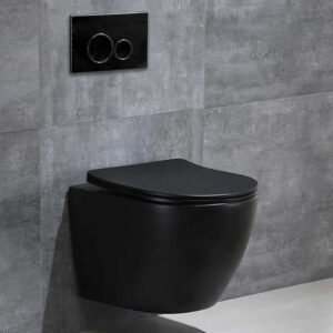 Black Round pan Executive concealed toilet