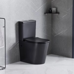 TWC017 Black Round Executive Water Closet toilet