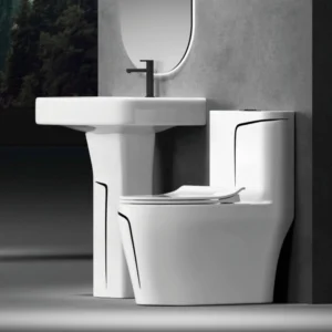 TWC013 Black on White Round Luxury Water Closet toilet sets