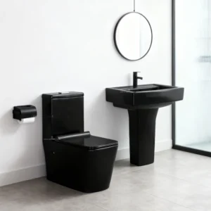 TWC019 Black SQ Executive Water Closet Toilet Sets