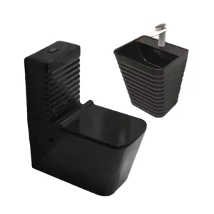 TWC023 Black Zebra Executive Water Closet Toilet
