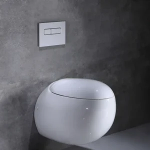 TWC027 Egg Shape Executive Wall Hung Concealed Toilet