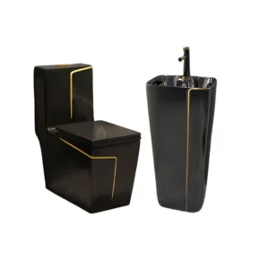 TWC034 Gold on Black Luxury Executive Water Closet Standing Basin Toilet sets