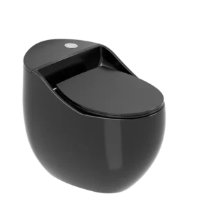 TWC006 Black 01 Super Executive Egg-piece Water Closet Toilet