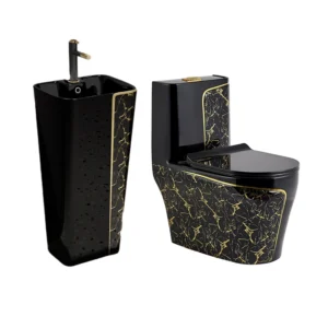TWC008 Black Golden Designers Water-Closet standing basin toilet sets
