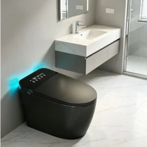TWC009 Floor Mount Black Intelligent Digital Smart Toilet