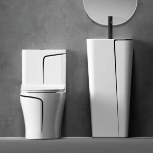TWC014 Black on White Round Luxury toilet with standing Basin