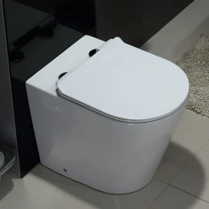 TWC030 Floor Mounted Round Executive Concealed Toilet