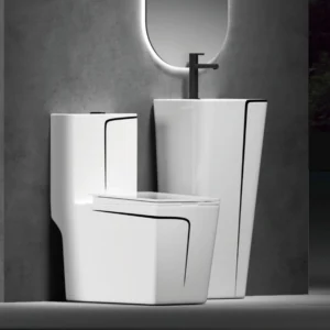 TWC016 Black on White SQ Luxury toilet with Standing Basin