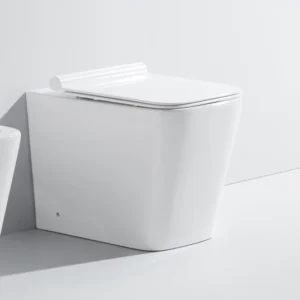 TWC004 Floor Mount Flat to Wall Concealed Cistern Toilet