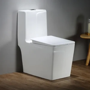 TWC063 Square Executive Luxury Water Closet Toilet Sets