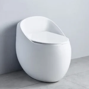 TWC064 White Super Executive One-piece Water Closet Toilet