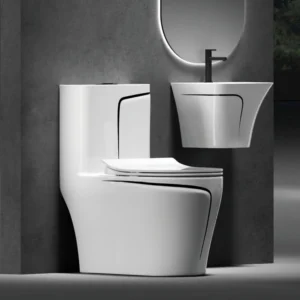 TWC015 Black on White Round Luxury toilet with wall-hung basin