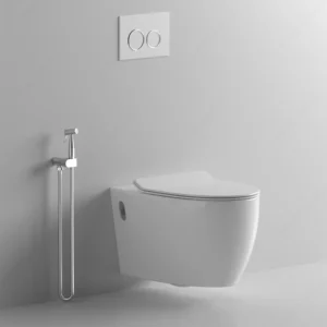TWC052 Premium Executive wall-hung concealed Cistern toilet