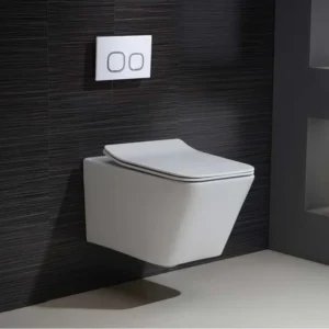 TWC056 Square Wall-hung Concealed cistern Toilet