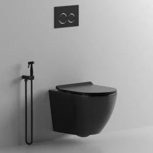 TWC029 Executive Black  Wall-Hung Concealed Cistern Conduit Toilet