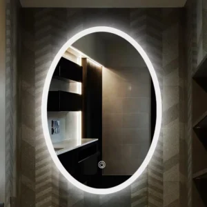 700x500mm Oval Edge Multi-light Led Mirror